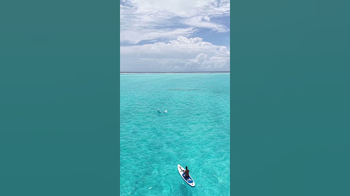 Maldives#maldives #thoddoo#fun#travelldairies#memories#sea#seaanimal#solo