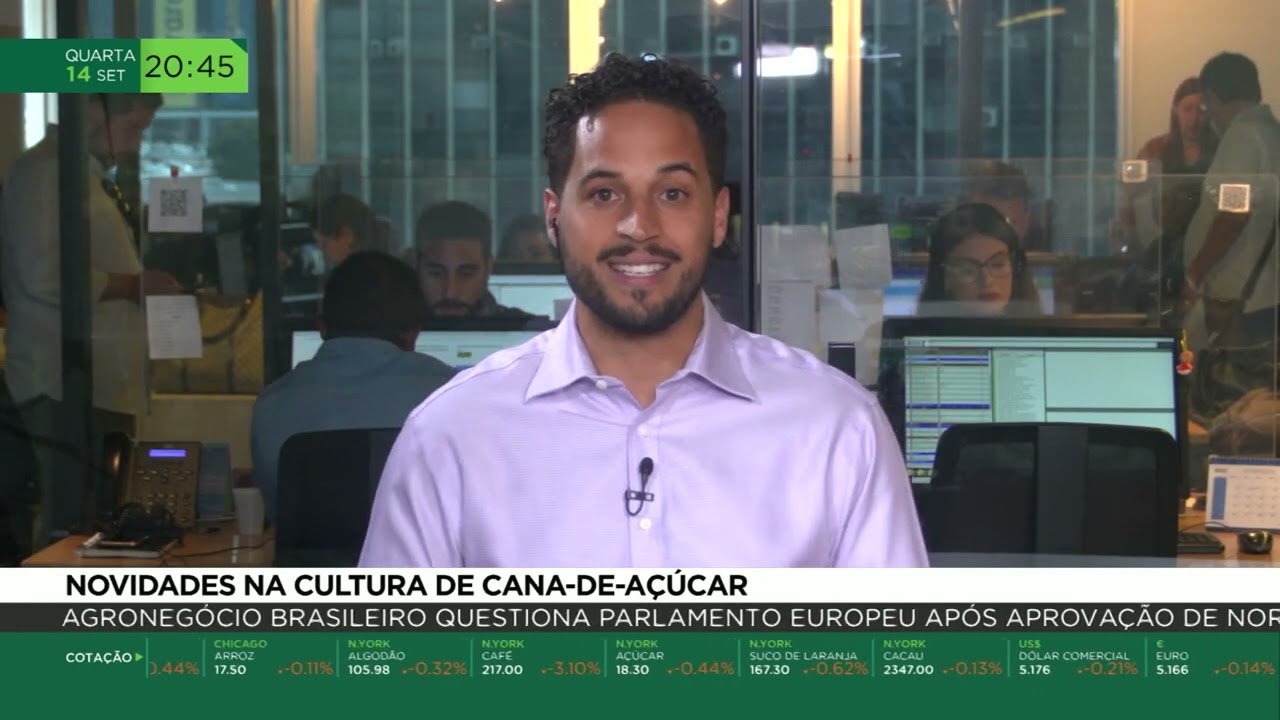 Novidades na cultura de cana-de-açúcar