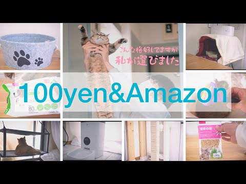 【猫が選ぶ】買って良かった100均&Amazon猫用品14選#32