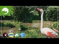 Greater Flamingo Habitat | Planet Zoo Collaboration | Valby City Zoo EP4