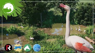 Greater Flamingo Habitat | Planet Zoo Collaboration | Valby City Zoo EP4
