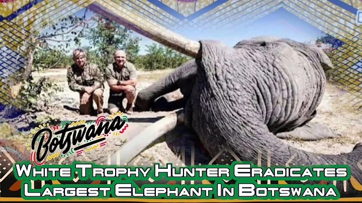 Demetra- White Trophy Hunter Eradicates Largest El...