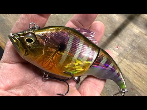 The Best Swimbait You’ve Never Fished With…