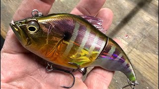The Best Swimbait You’ve Never Fished With…