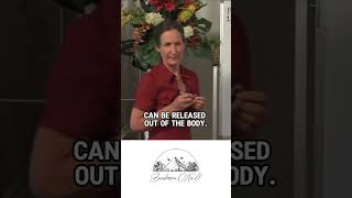 Why the liver's role in detoxification matters