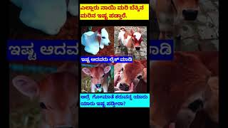 🥺ಗೋಮಾತೆ🙏🏻#ytShorts #Trending#Vira#YouTubeShorts #Gaming#Music#Travel#facts #ashtrology#motivation#yt