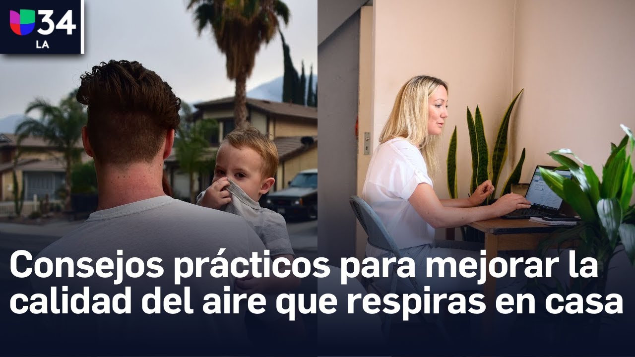 Consejos prácticos para mejorar la calidad del aire que respiras en ...