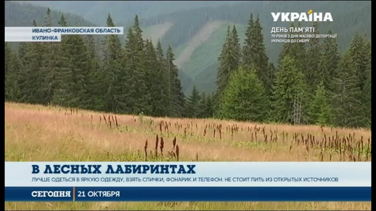 Если вы заблудились в лесу Если вы заблудились в лесу