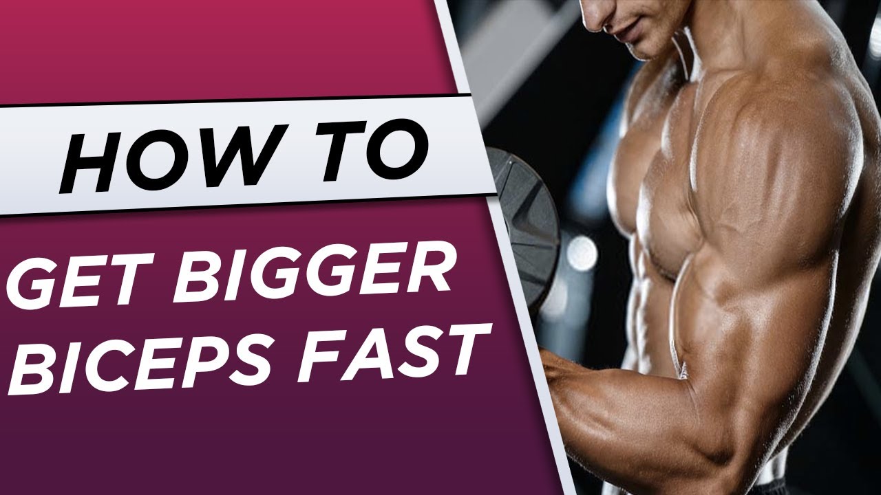 Top 4 Biceps Exercises For Beginners ll Raja Fitness Gym