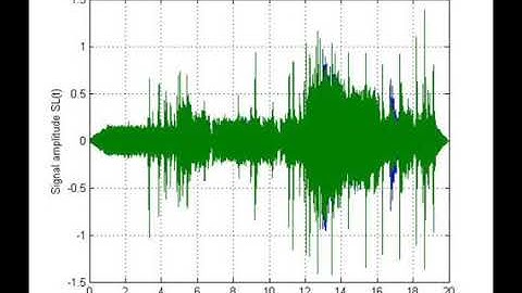 EE210 Student Project: Signal Processing project 王妃