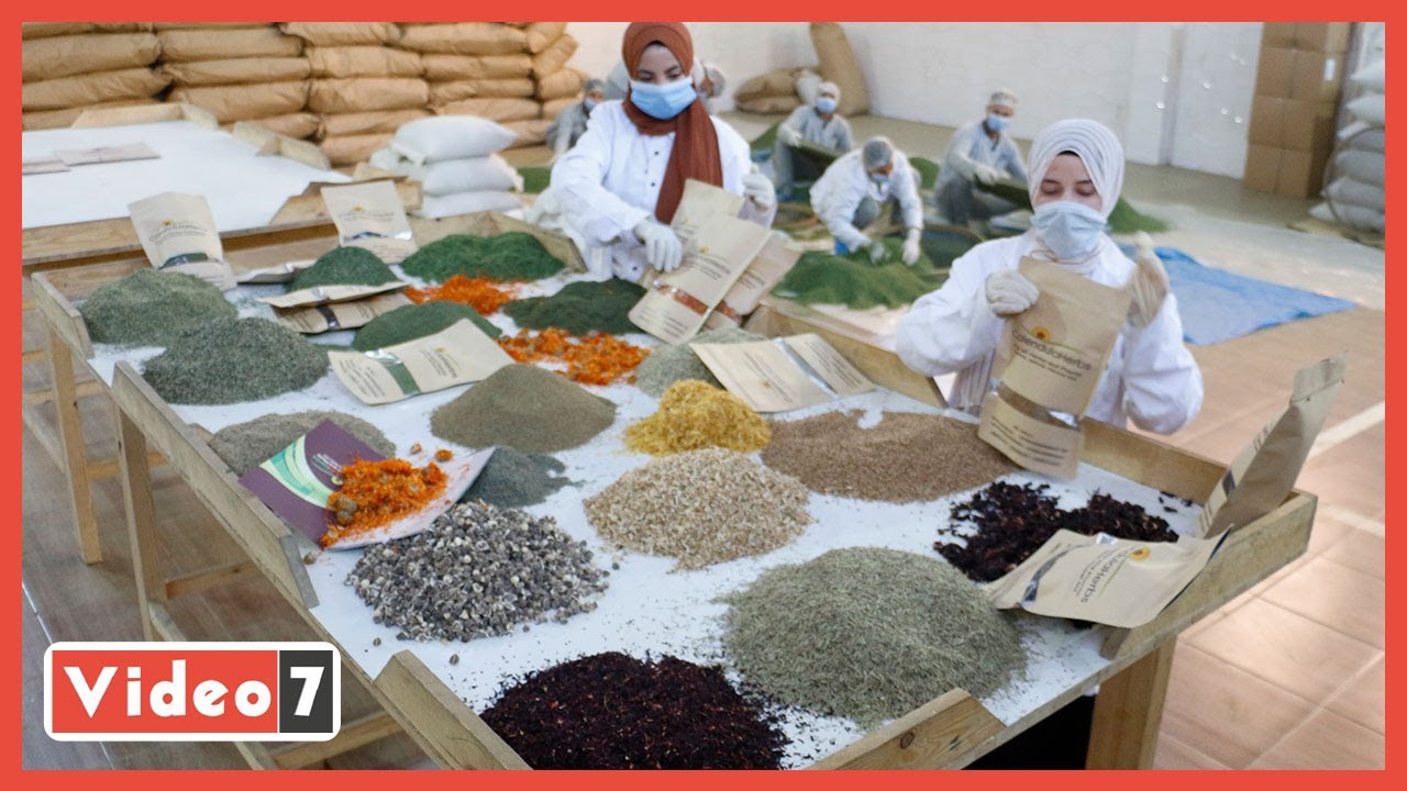 الفيوم مملكة الزيوت فى العالم والمصدر الرئيسى للمواد الخام للعطور العالمية