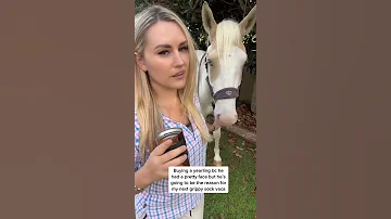 Girls Horse Club My Shit DUMB Palominopaint Horses 