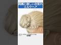 【アナ戴冠式風にも使える】両親とのお別れシーン エルサヘア｜ディズニープリンセス髪型｜Frozen Elsa Hairstyle tutorial｜ #ヘアアレンジ #アナと雪の女王 #エルサ