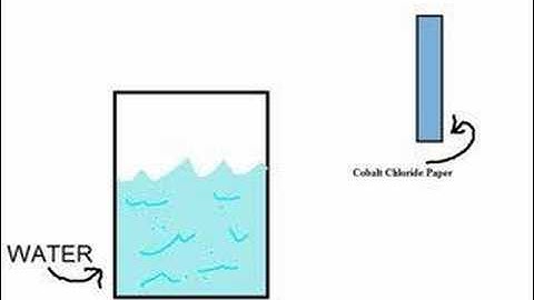 Dr Zeeb Explains Cobalt Chloride