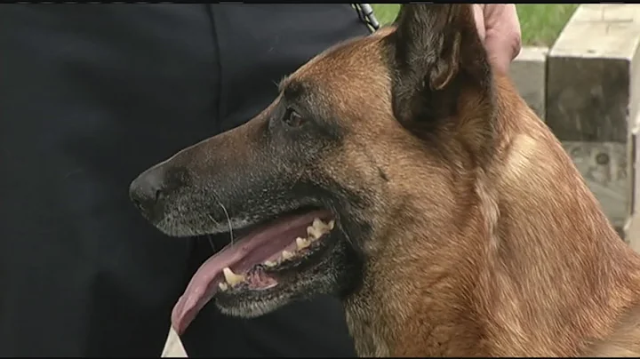 New Southwick police dog General officially on pat...