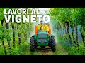 Test in campo: TRINCIA E ATOMIZZATORE Deleks