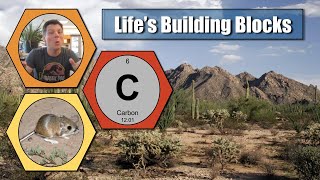 AP Bio 1.2 - Elements of Life