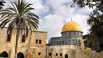 القرآن الكريم : سورة الواقعة Quran Translation: Al-Waqi`ah : 56