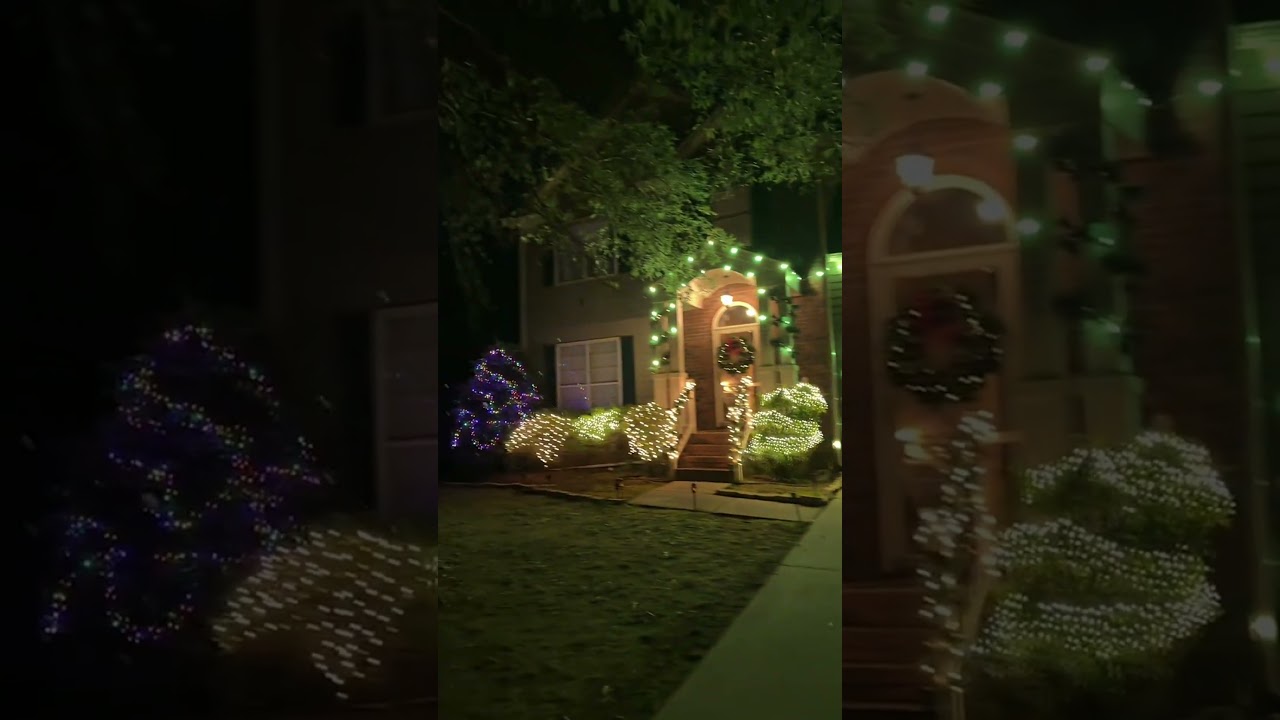 These lights are amazing! 