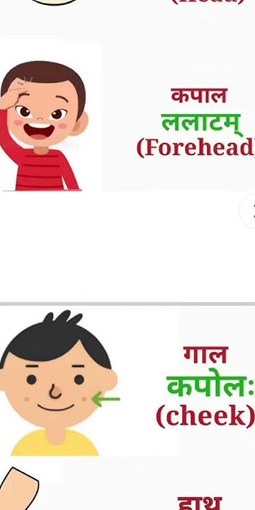 Parts Of Body Name In Sanskrit YouTube parts-of-body-name-in-sanskrit-youtube