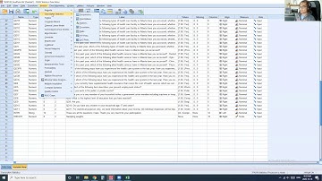 Adding weights to SPSS