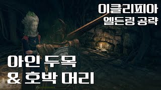 M7. 아인 두목 & 호박머리 | 엘든링 네트워크 버전 공략!