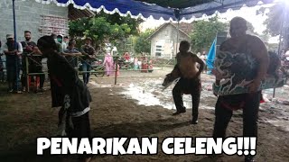 Jathilan Kudho Kencono Taji babak 4 ndadi live Rajek wetan Sleman!