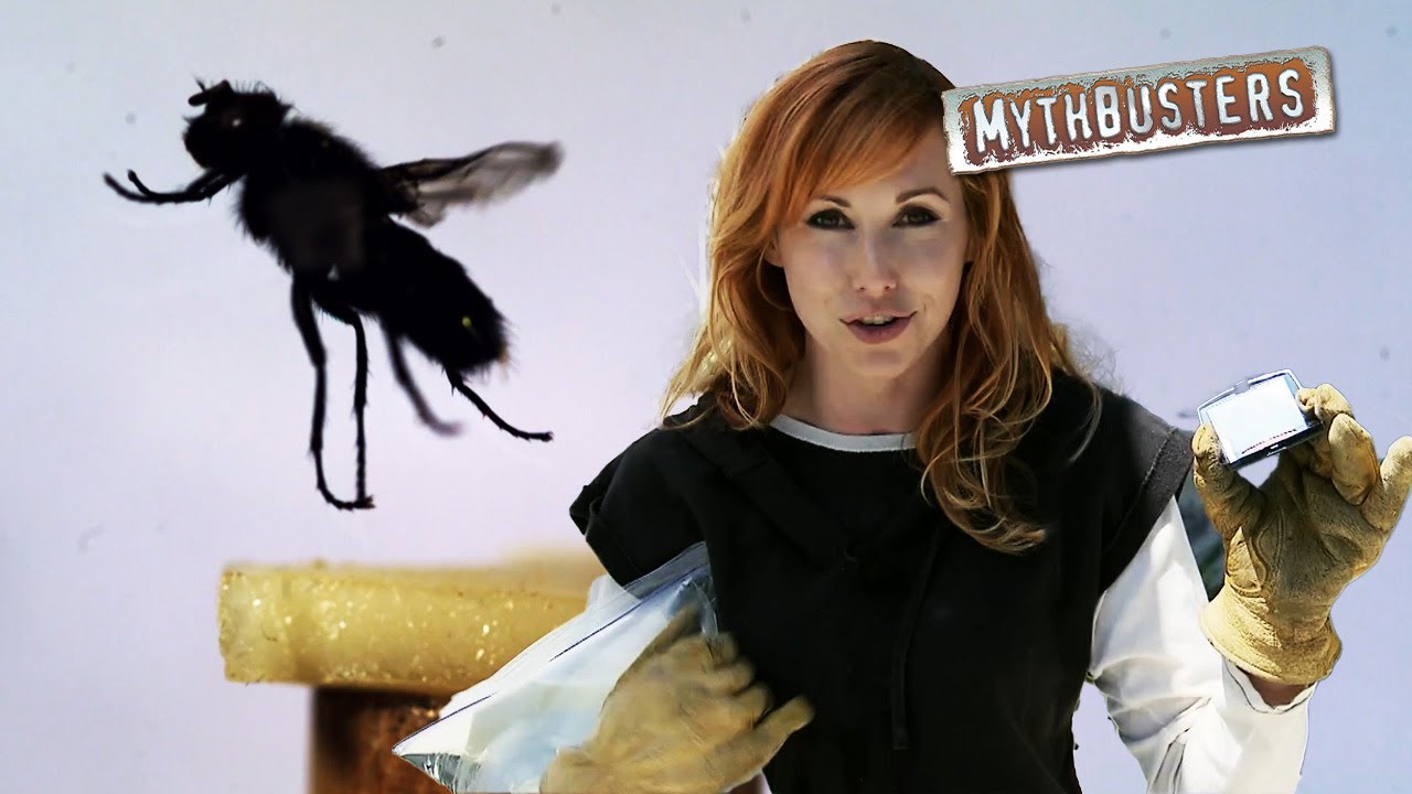 Do Hanging Bags Of Water Actually Scare Flies Away? | MythBusters