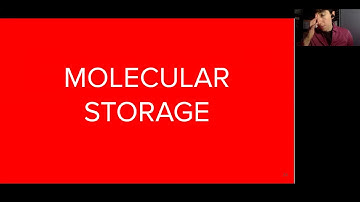 Brenda Rubenstein: Storage and Computing with Small Molecules: A Tutorial