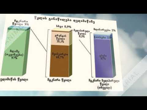 ცოტნე ხარებაშვილი