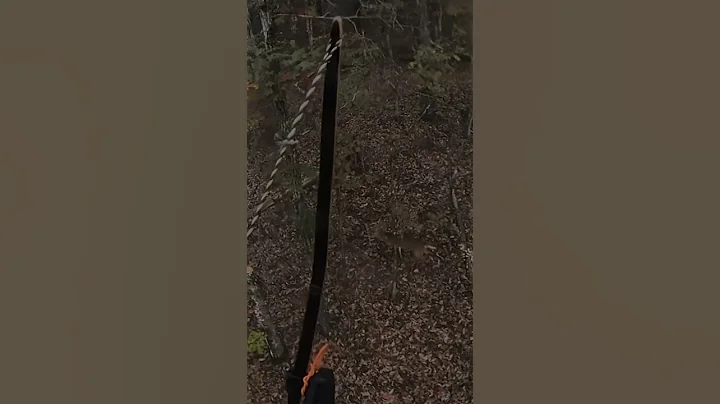 Nice buck shot with Traditional bow in Georgia 11/23/22
