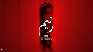 Raneem Arabic Oriental Dancehall Type Beat Turkish Reggaeton Oriental Balkan Instrumental 2026