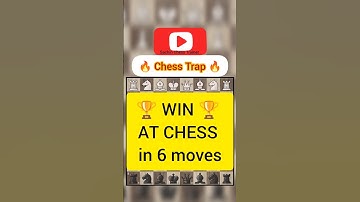 🔥 CHECKMATE 🔥 Your Opponent in 6 Moves 😲 Bird