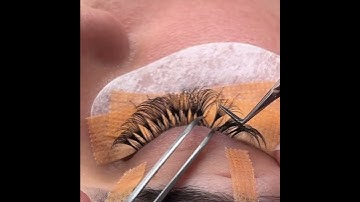 soft volume lash extension #eyelashextension #lashesfactory #lashes