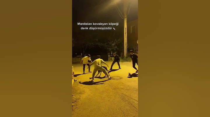 Manitayı Kovalayan Köpeği Denk Düşürdük