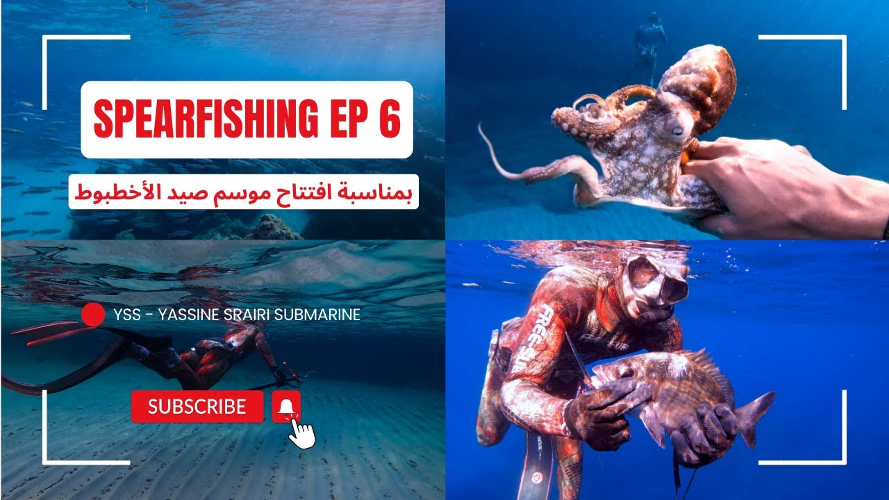 SPEARFISHING EP 6 -  بمناسبة افتتاح موسم صيد الأخطبوط 🐙🌊