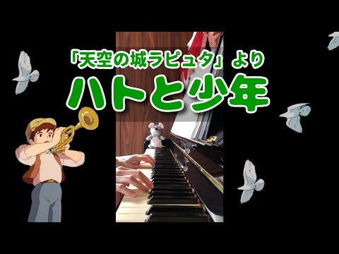 ハト と 少年 ピアノ