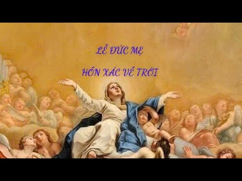 🌈 LỄ ĐỨC MẸ 🌷HỒN XÁC VỀ TRỜI 🌞|| Năm C 