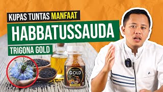 Bedah Manfaat Habbatusauda Trigona Gold | Review Produk Nabawi Herbal Trigona Gold