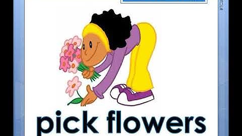 English Year 3- Picture Dictionary Module 9