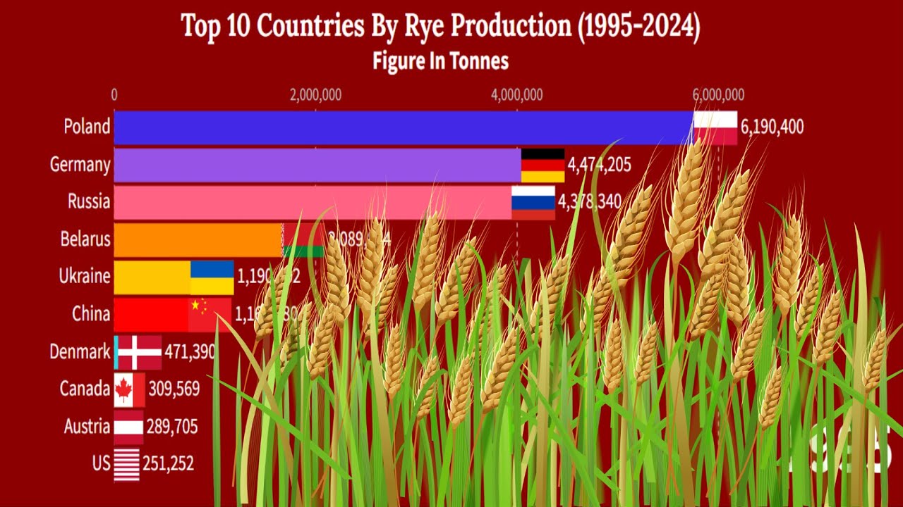 Top 10 Countries By Rye Production (19952024) YouTube