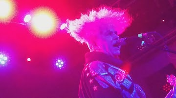 MELVINS - DON