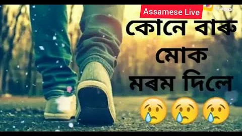 Kune baru muk morom dile - New Assamese status song- Whatsapp Status song- Assamese Live//