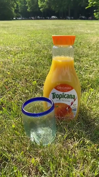 You can always have a little bit of our sunshine. 🧡🍊