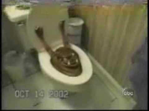 Funny Prank!! Monster in the toilet! The Kid screams so lou