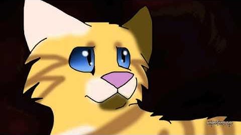 Change the Formality MAP part 2