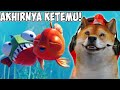 AKHIRNYA PIRANHA KEMBALI BERTEMU IKAN EMAS! - I Am Fish #part5