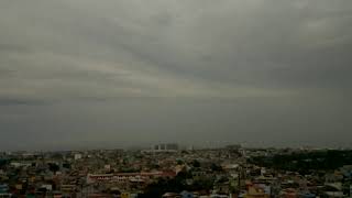 Raffy's Window LS - ARCACam Live - 20200917