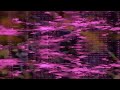 bcm7 - the hydrouselessness