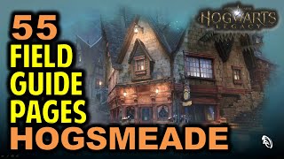 Hogsmeade: All 55 Field Guide Pages Locations | Hogwarts Legacy screenshot 3